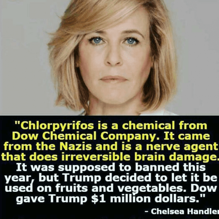Chlorpyrifos - Dow Chemical Corruption