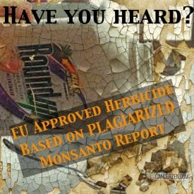 EU approval of glyphosate weed killer based on ‘plagiarized’ Monsanto studies